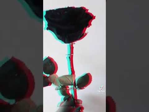 تطبيق صور مع اغاني حزينه