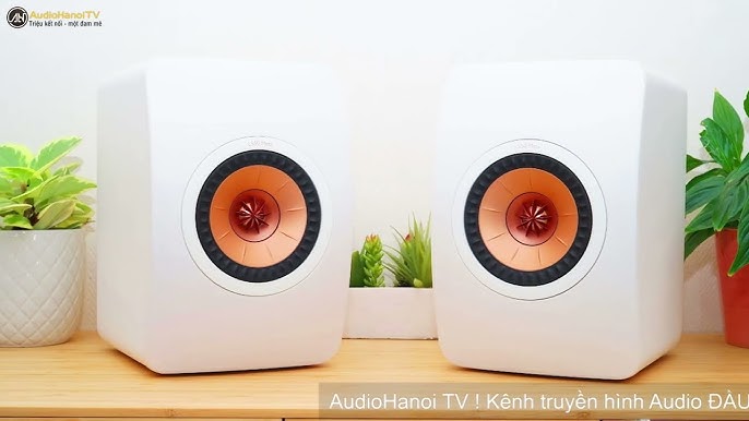 4. Hướng Dẫn Mua Sắm Loa Vi Tính