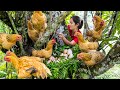 Harvesting A Lot Of Chickens On Tree Duck Eggs Bring Them To Countryside Market To Sell