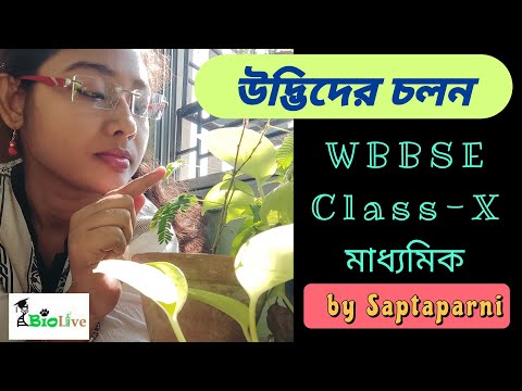 ভিডিও: শক্ত হার্ট বা কিভাবে সংবেদনশীলতা বজায় রাখা যায়