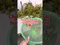 Terrace garden se Tamatar ki harvesting #terracegarden