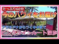 一緒に散歩しませんか？アラモアナからワイキキまで１時間まるごとヴァーチャル散歩！【ハワイ現状】【ハワイの今】【ハワイ旅行】【HAWAII】