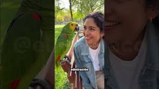 Loro Paco que Hizo Reír a Señorita GUAPA ¡Se pasa de Coqueto! 😂🦜