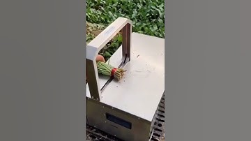 Vegetable Bundling Machine#shorts