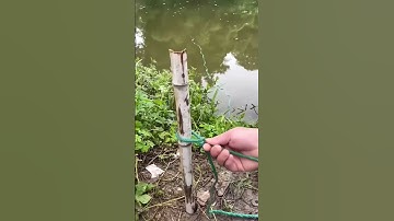 Unbreakable Repairable Fish Trap! 🦀🐟 #Fishing #CrabTrap #Sustainable