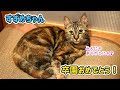 🔴【にこりら】15万人ありがとう！そして、すずめちゃんご卒園おめでとう！ライブ