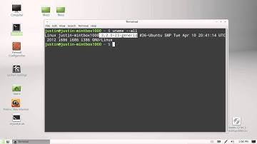 find which kernel your Linux Mint is currently using