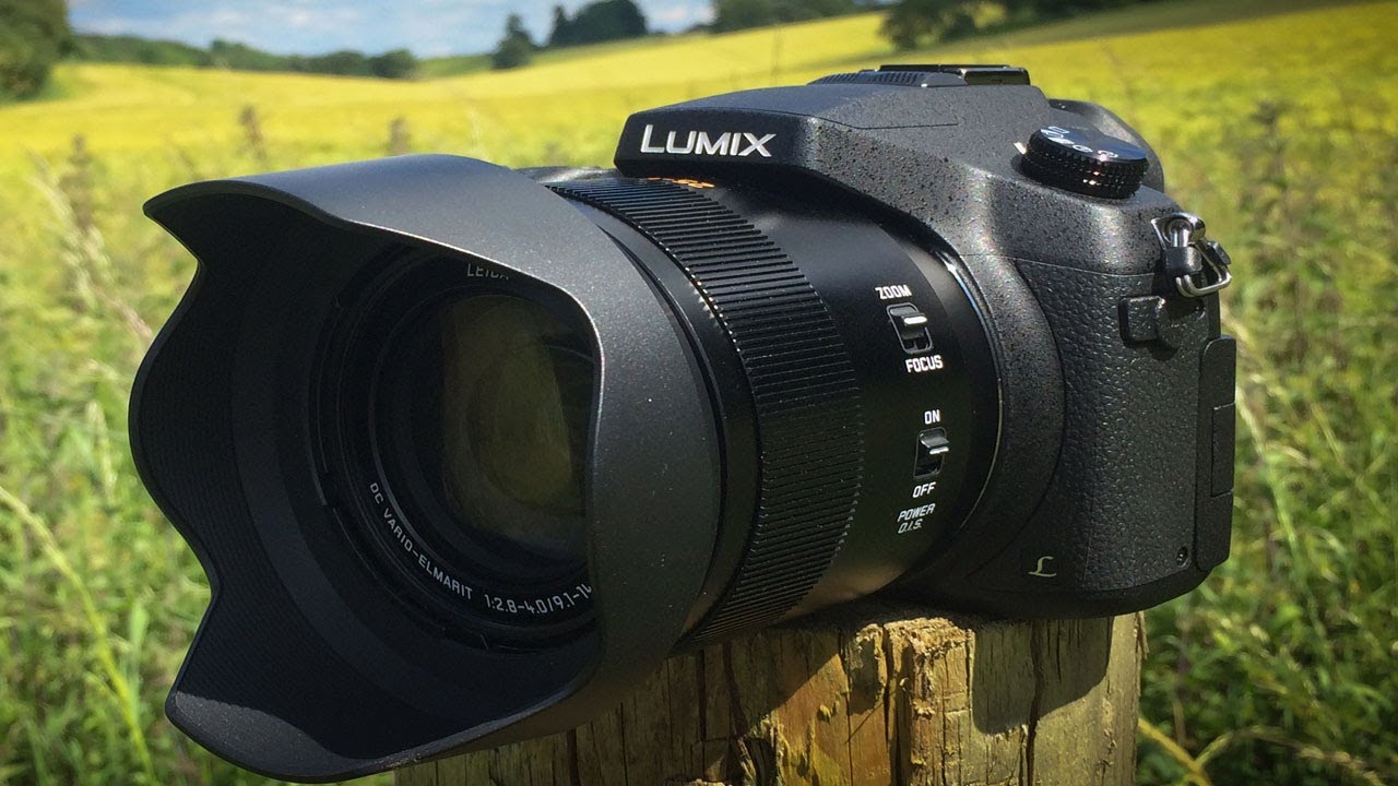 The Best Bridge Cameras for 2024