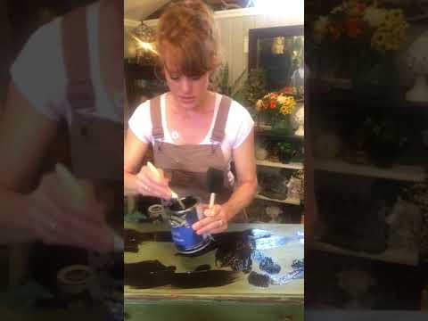 Applying General Finishes Java Gel with Steener’s Attic