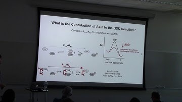 Jesse Zalatan - Spatially-organized kinase-substrate reactions with designed scaffold proteins
