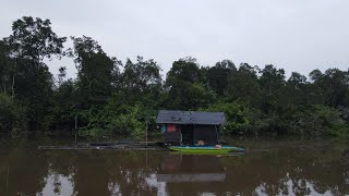 BERMALAM DI TENGAH DANAU YANG LUAS, DAN TERPERANGKAP NYA BAUNG HINGGA PENUH BERDESAKAN.. !!