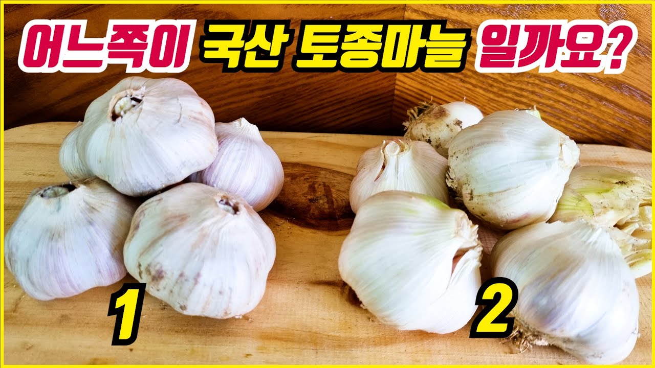 We'll show you how to tell the difference between Spanish garlic and Korean native garlic.