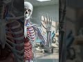 IF YOU USE THIS SOUND #humanbody #anatomy #trending #sounds #viralshort