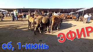 1 июнь МОЛБОЗОРИ ХУЧАНД в прямом эфире!