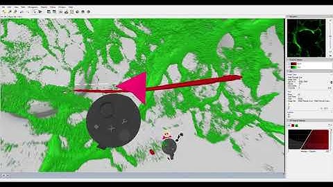 VR Microscopy and Image Analysis