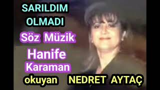 SARILDIM OLMADI - NEDRET AYTAÇ
