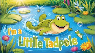 I’m a Little Tadpole | funny nursery rhymes for toddlers