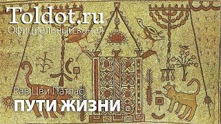 Ради чего мы изучаем Тору? Рав Цви Патлас. Пути жизни 34