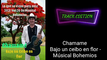 Chamame Bajo un ceibo en flor - Músical Bohemios #garupa #misiones #chamame