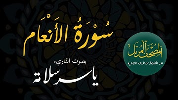 المصحف المرتل بمد المنفصل (( 006 سورة الأنعام )) ياسرسلامة