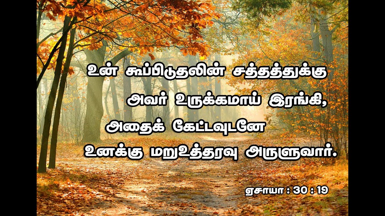 Today Bible Verse Tamil Bible Tamil Bible Verse Daily Bible Song