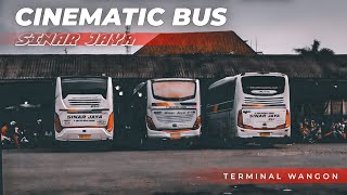 CINEMATIC BUS SINAR JAYA‼️