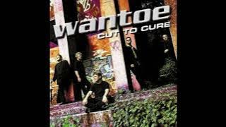 Wantoe - Cut To Cure