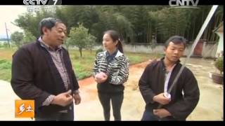 20150305 乡土 广山村里的爱情