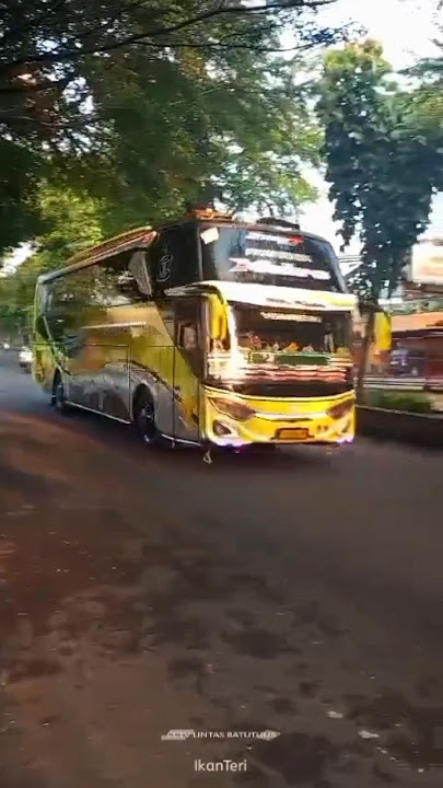 Telolet Basuri Jayanti Bus Pikachu Prabunata Holiday #shorts #telolet #basuri #busmania #viral #fyp