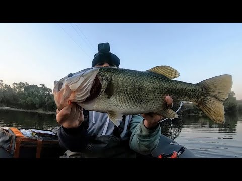 Fishing Topwater Frogs For Giant Bass