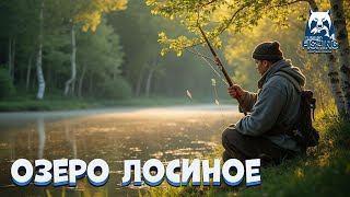рр4 _ Оз. Лосиное Встречай, изучаем, познаем