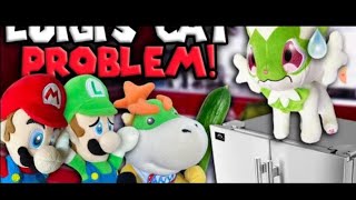 AMB - Luigi's Cat Problem! reaction