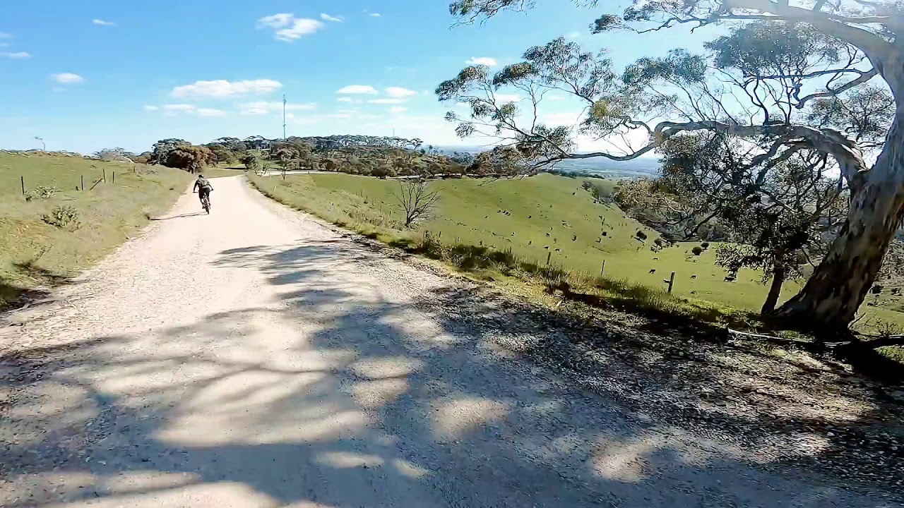 Descending Rifle Range Road YouTube