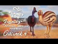 Taki tam wielki niebieski indyk i jego wybieg, FRANCZYZA Australia, Ameryki Połud. - PLANET ZOO #4