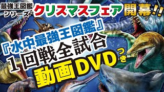 全国書店にて、最強王図鑑シリーズ、クリスマスフェア開幕!!