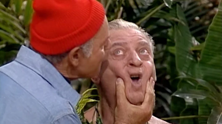 Priceless Bloopers of Rodney Dangerfield & Harvey ...