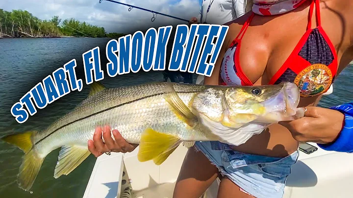 Brie Gabrielle Catches HUGE Snook in Stuart, Flori...
