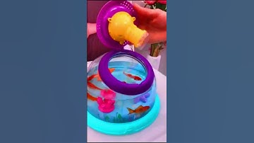New design fish bowl #shorts #viral #trending