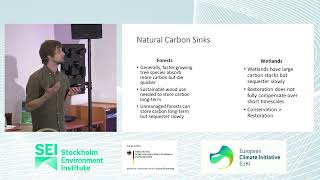 Climate Recon seminar: Assessing the prospects of natural and technological sinks, Peter Walke