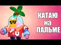 BRAWL STARS ТРОПИЧЕСКИЙ СПРАУТ