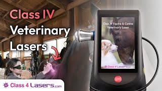 Class 4 Veterinary Lasers  | Veterinary Laser Equipment