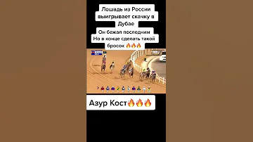Лошадь из России, выиграла скачки в Дубае, русский дух, победа на скачках, оаэ ипподром, даже в лоша