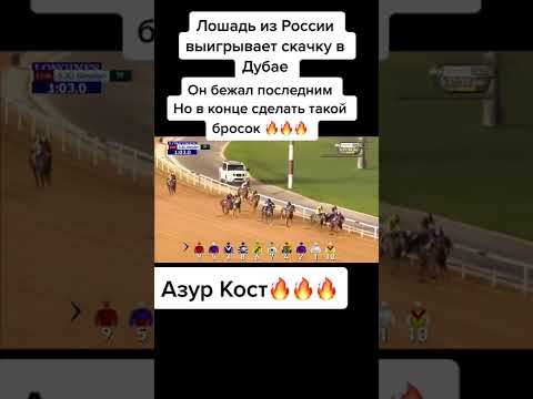 Лошадь из России, выиграла скачки в Дубае, русский дух, победа на скачках, оаэ ипподром, даже в лоша