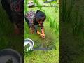 মেয়েটি এখানে পেল কি। 😱 #shorts