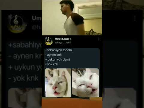 İnstagram - Twitter video #235 #tiktok #twitter #akımı