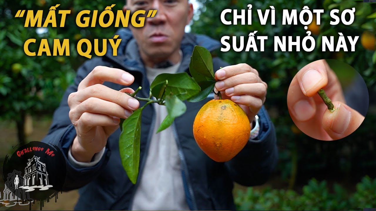 Outline Video Ngành nông nghiệp ÚC thiệt hại NẶNG vì một bác nông dân VIỆT NAM