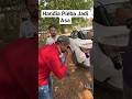 Handia Wali #bts #viralvideo #funny #dailyvlog #vlogger #serial #odiavlog #love #wedding #cinematic