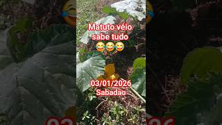 😂piada antiga😂 #piadascurtas #piadas #curiosidades #risada #humor #gratidão #fazenda #agro #viral