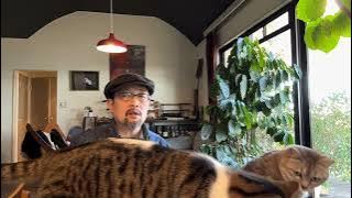 终于知道“妄议中央”是怎么回事了：天津市委组织部长言论曝光，目前中共官场生态是“噤若寒蝉”；海南封岛：妄想建成另一个香港，为台湾做榜样的野望能不能实现；立好遗嘱，别让政府抢走钱