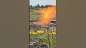 gempar, fenomena alam bumi terbakar viral di bojonegoro